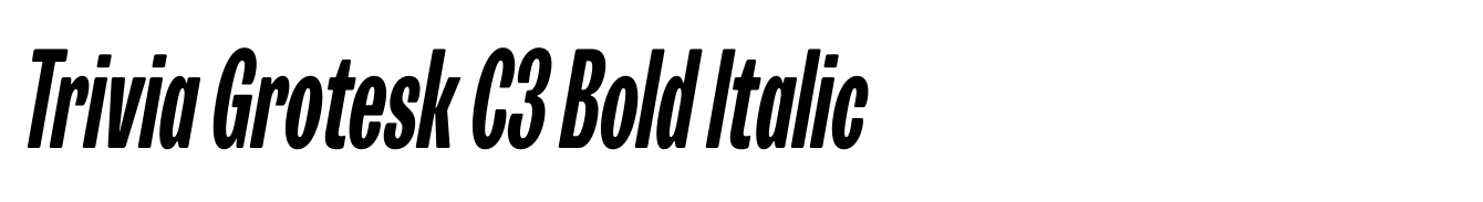Trivia Grotesk C3 Bold Italic